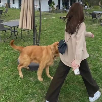 把灵魂放在手上行走